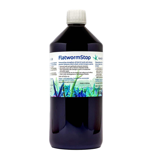 Korallen-Zucht: Flatworm Stop