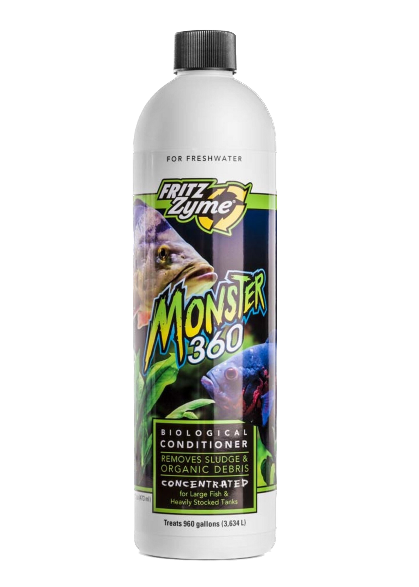 Fritz: Monster 360