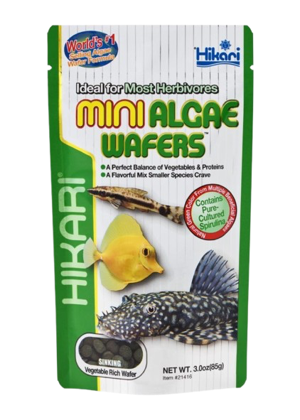 Hikari: Mini Algae Wafers