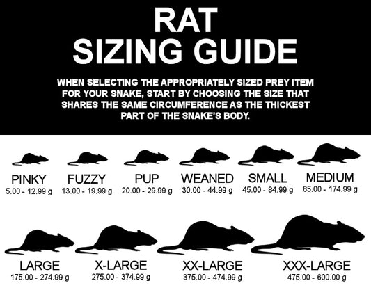 Frozen Feeder Rat