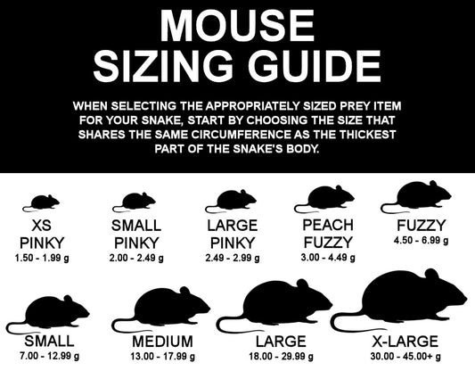 Frozen Feeder Mouse