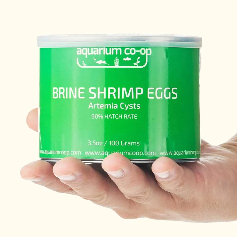 Aquarium Co-Op: Brine Shrimp Eggs