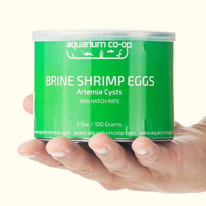 Aquarium Co-Op: Brine Shrimp Eggs