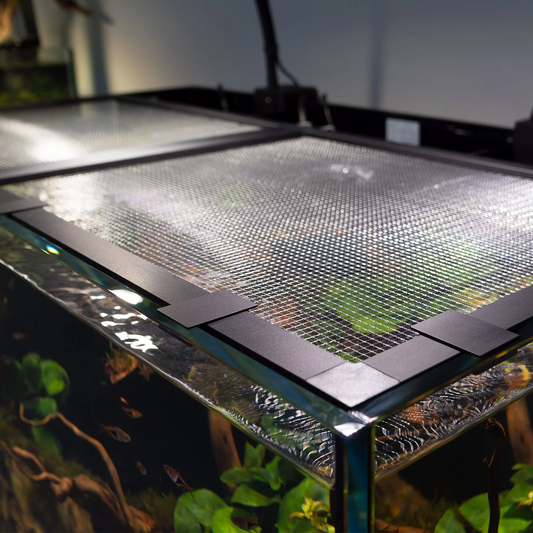 Waterbox: Mesh Lid