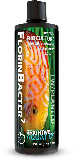 Brightwell Aquatics: Florin Bacter 7