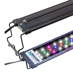Lifegard Aquatics Full Spectrum LED Light