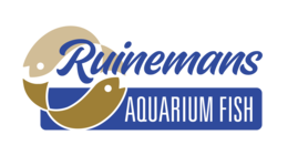 Ruinemans Aquarium Fish