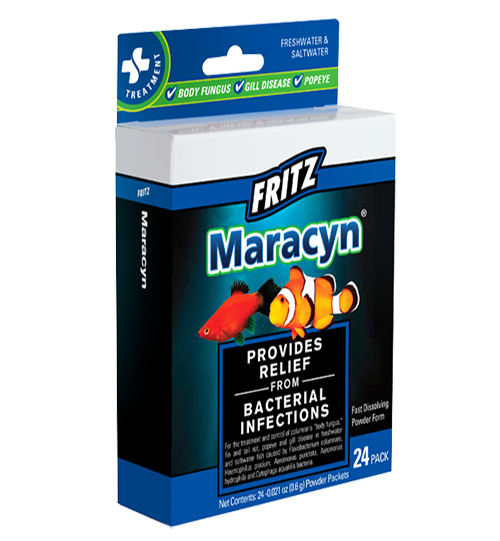 Fritz: Maracyn