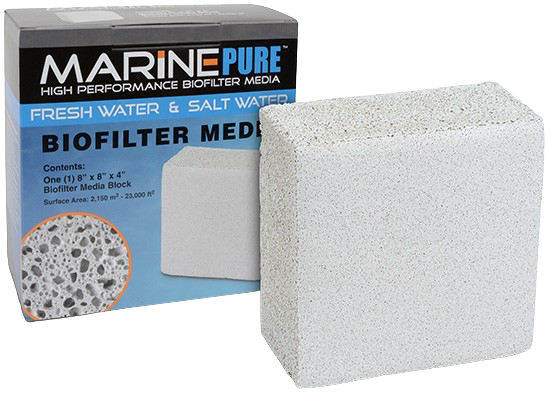 MarinePure: Media Block