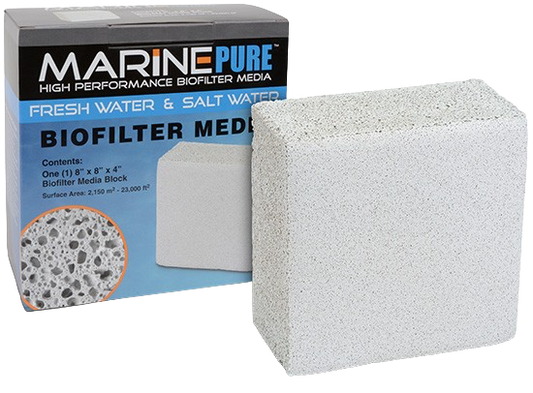 MarinePure: Media Block