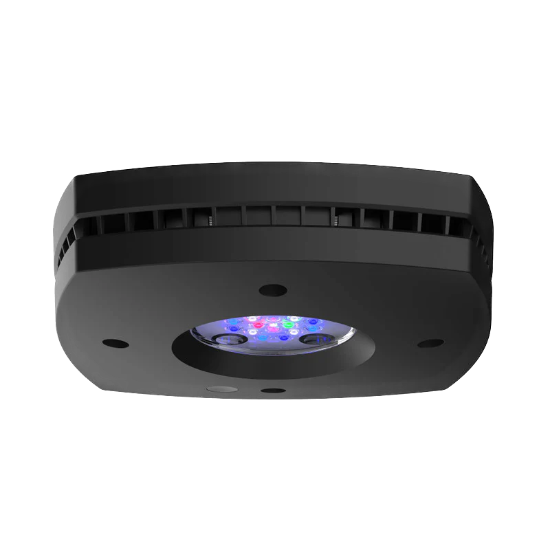 AI: Prime 16HD LED Reef Light
