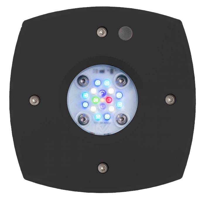 AI: Prime 16HD LED Reef Light – Tropical Exotics