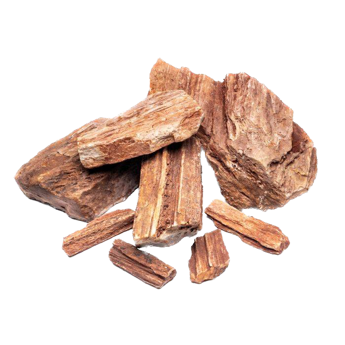 Petrified Wood