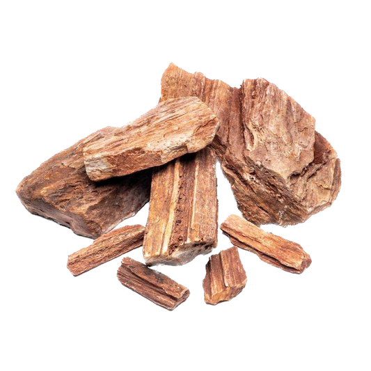 Petrified Wood