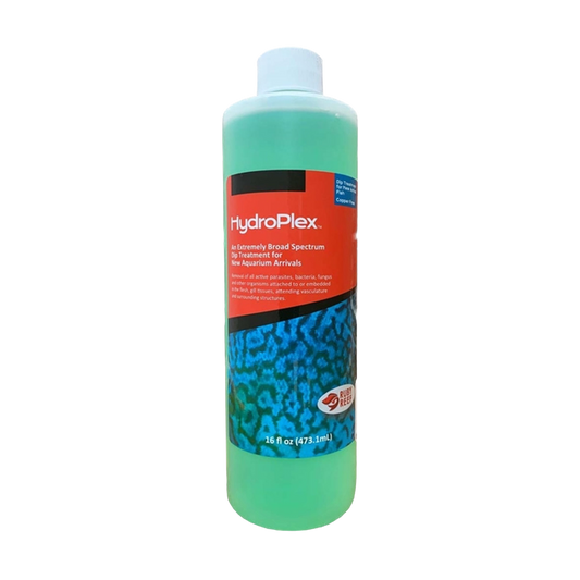 Ruby Reef: HydroPlex