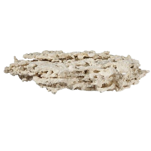 Marco Rock Chunk