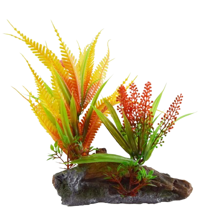 UT: Orange Fern On Root