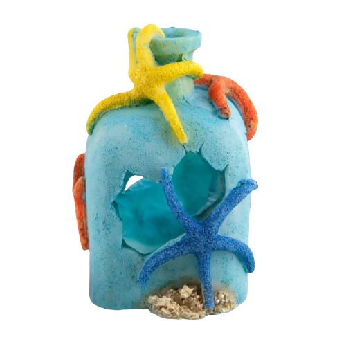 UT: Starfish On A Bottle