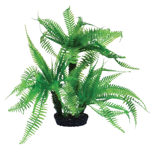 UT: Jurassic Fern