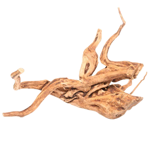 UT: Wood Root