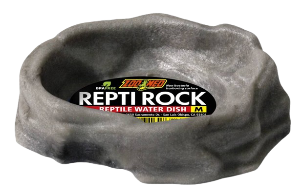 Zoomed: Rock Water Dish